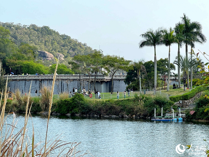 厦门：串起山海湖岛溪  市政匠心绘就春日画廊2.png