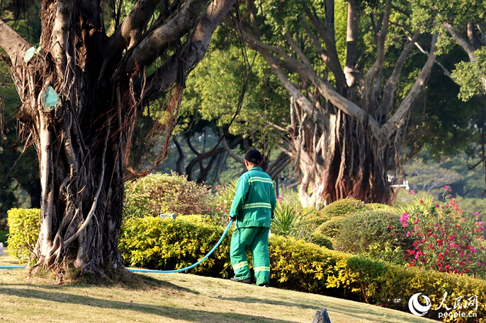厦门：串起山海湖岛溪  市政匠心绘就春日画廊6.png